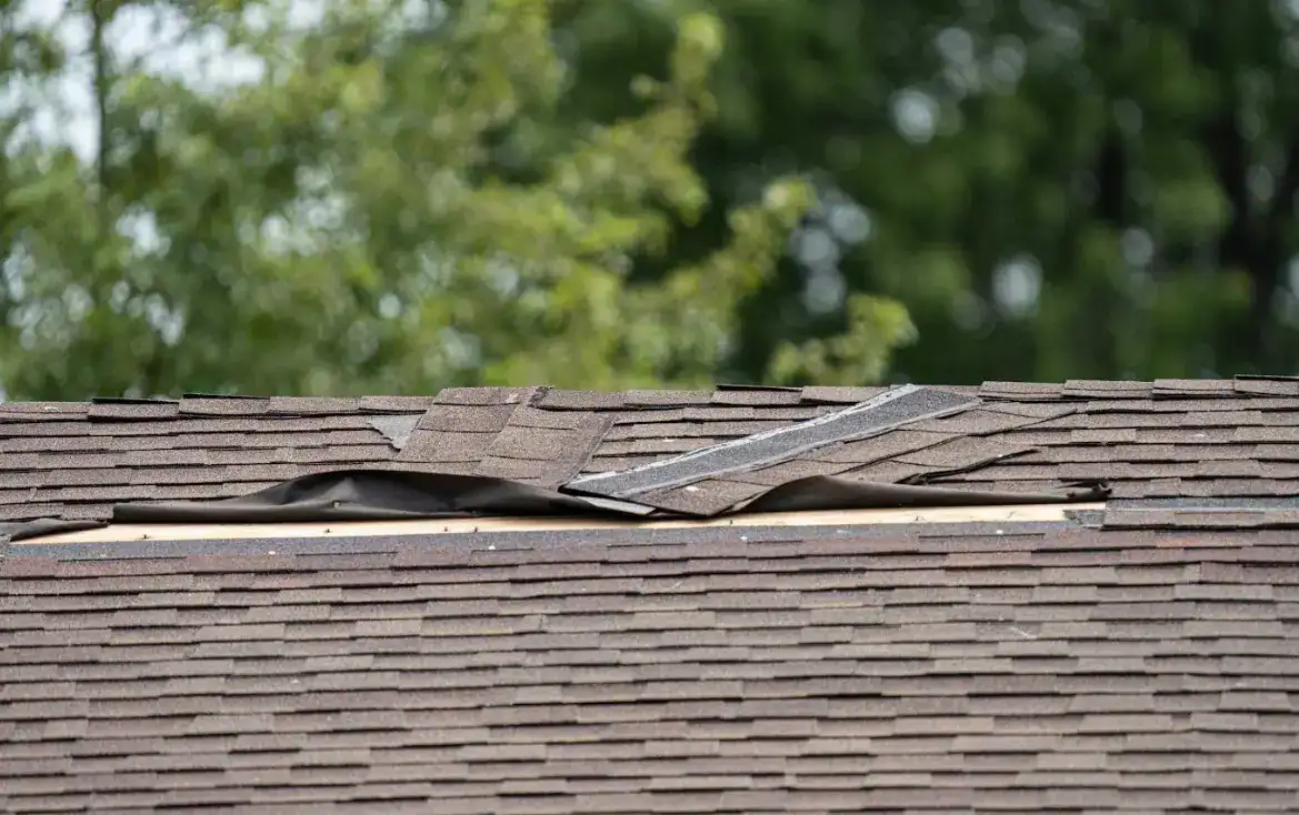 Damaged asphalt roof shingles with visible wind damage requiring roof repair or replacement