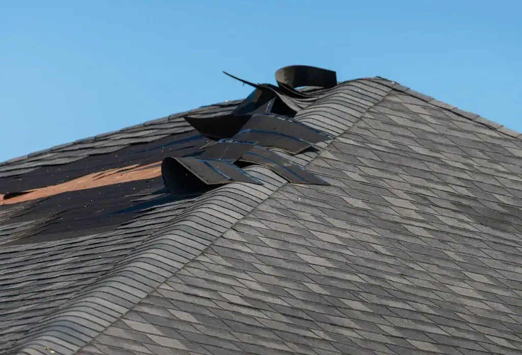 Damaged asphalt shingles on roof indicating roof replacement in New Jersey