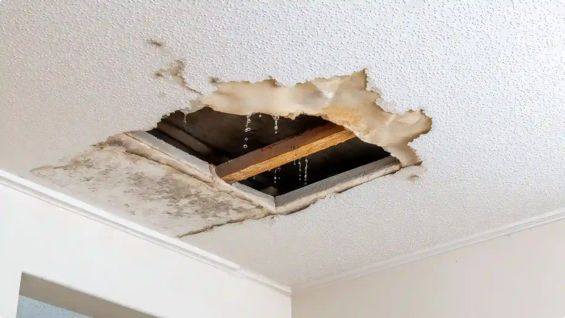 Water leaking through a damaged ceiling caused by a roof leak in a home